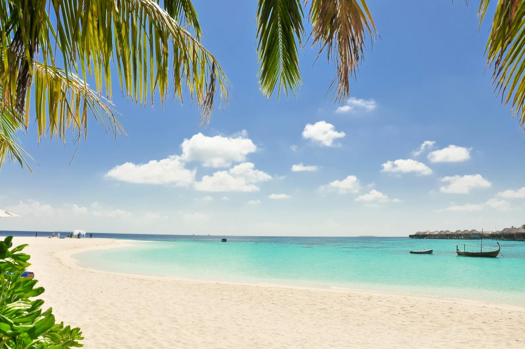 riviera maya caribbean coast mexico